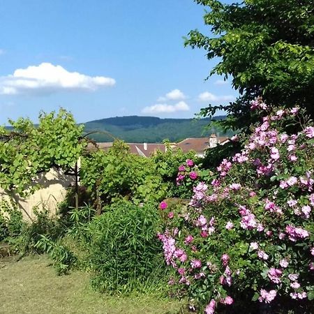 Villa Jardin de Curé Cluny Esterno foto