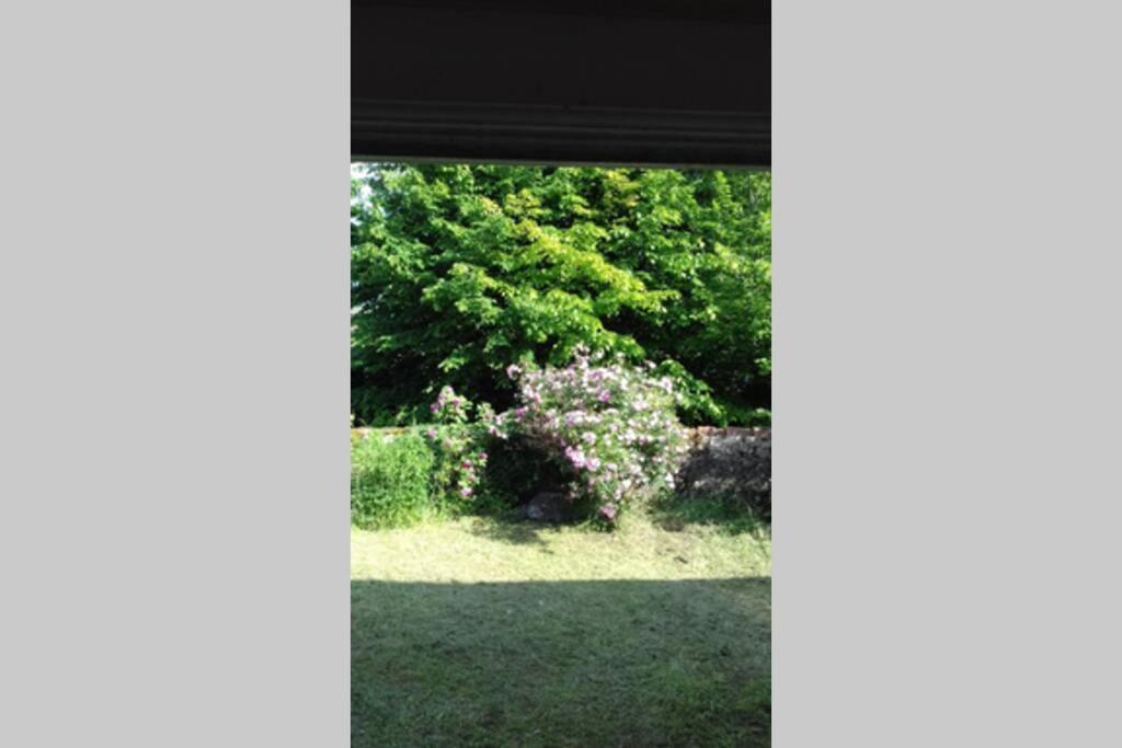 Villa Jardin de Curé Cluny Esterno foto